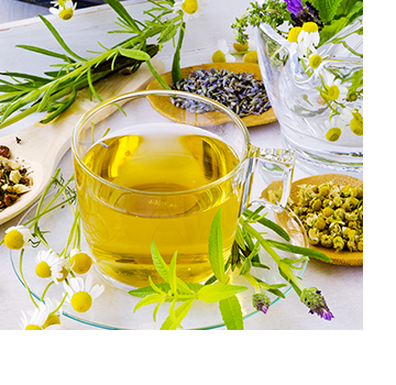 ハーブとハーブティーのイメージ写真